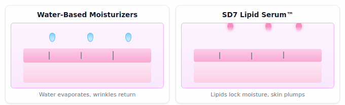 The Science of Skin Barrier Function Scientific illustration of skin barrier function and moisture retention
